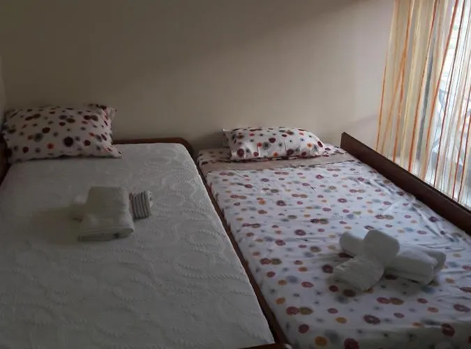 Estrela Do Mar - 100m Da